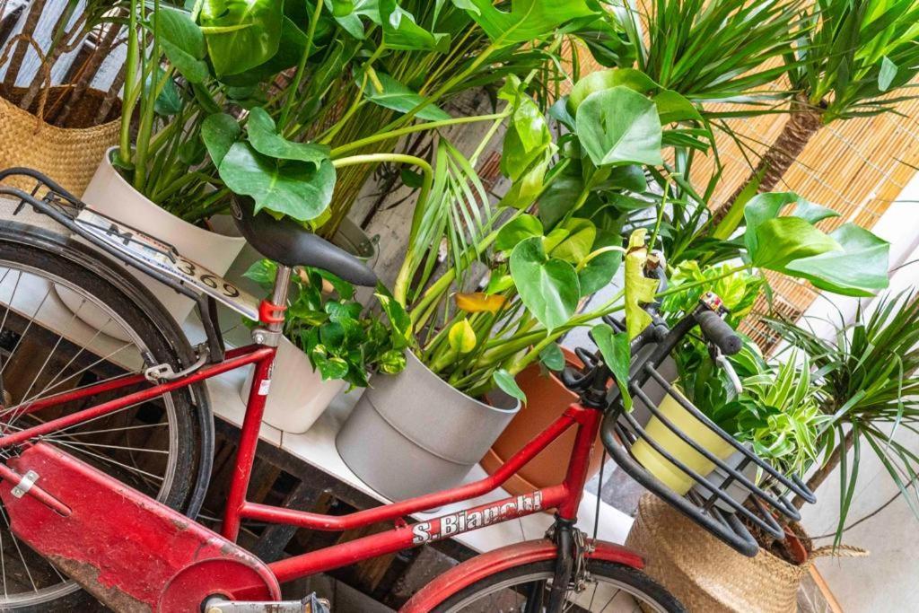 Apartamento Puccinotti House Florença